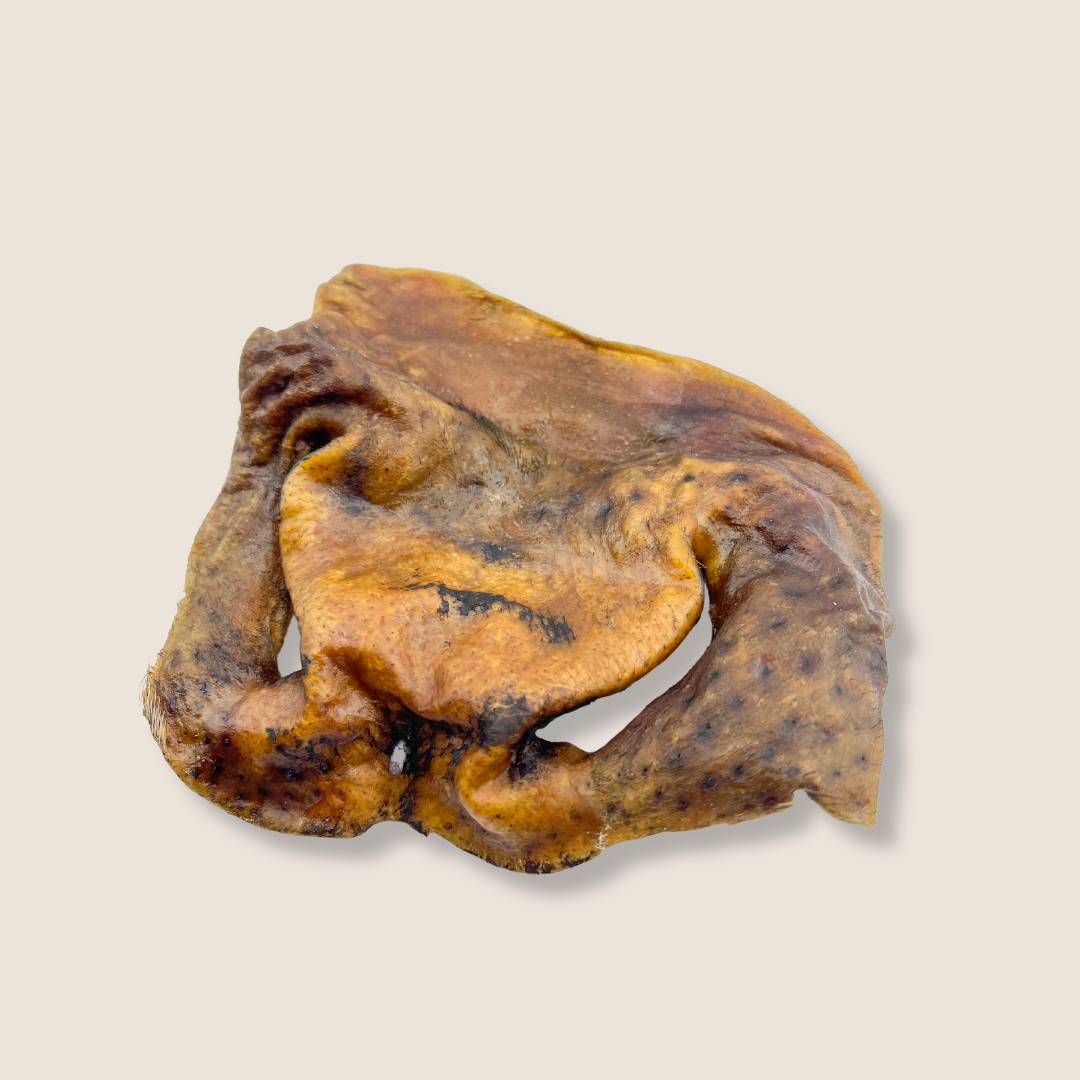 Buffalo Snout Chew
