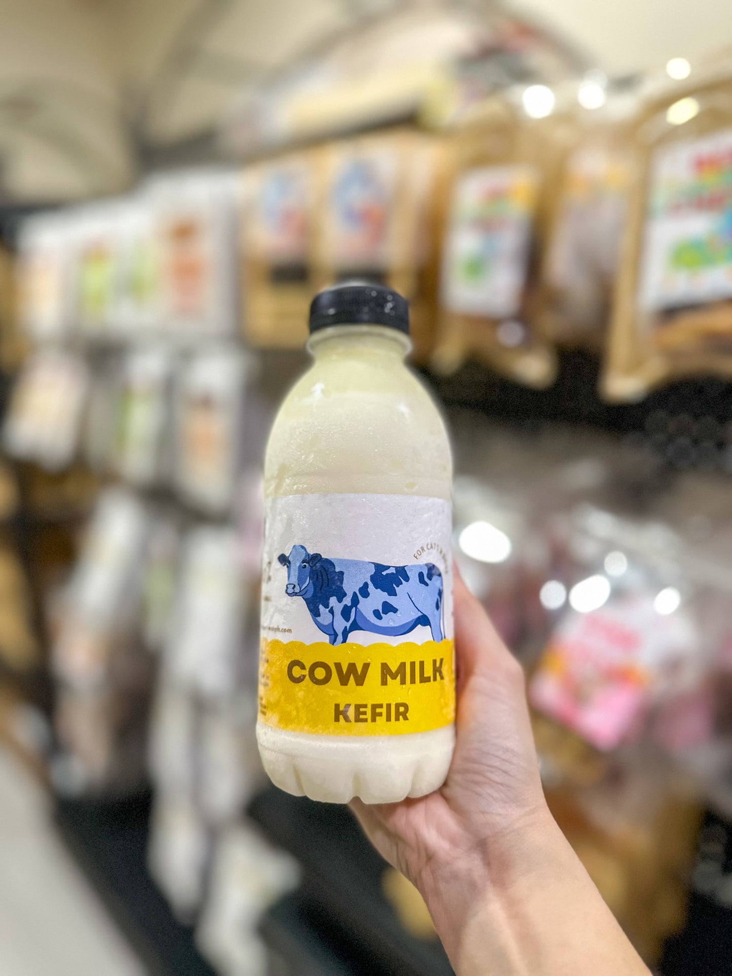 Cow milk kefir