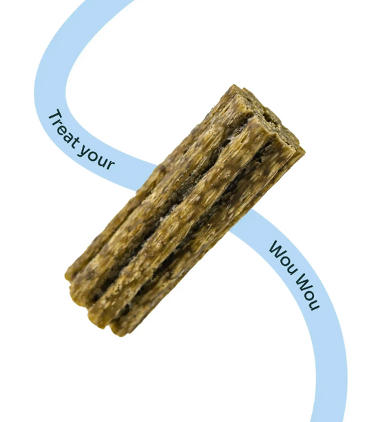 Plaque Control Dental Chews