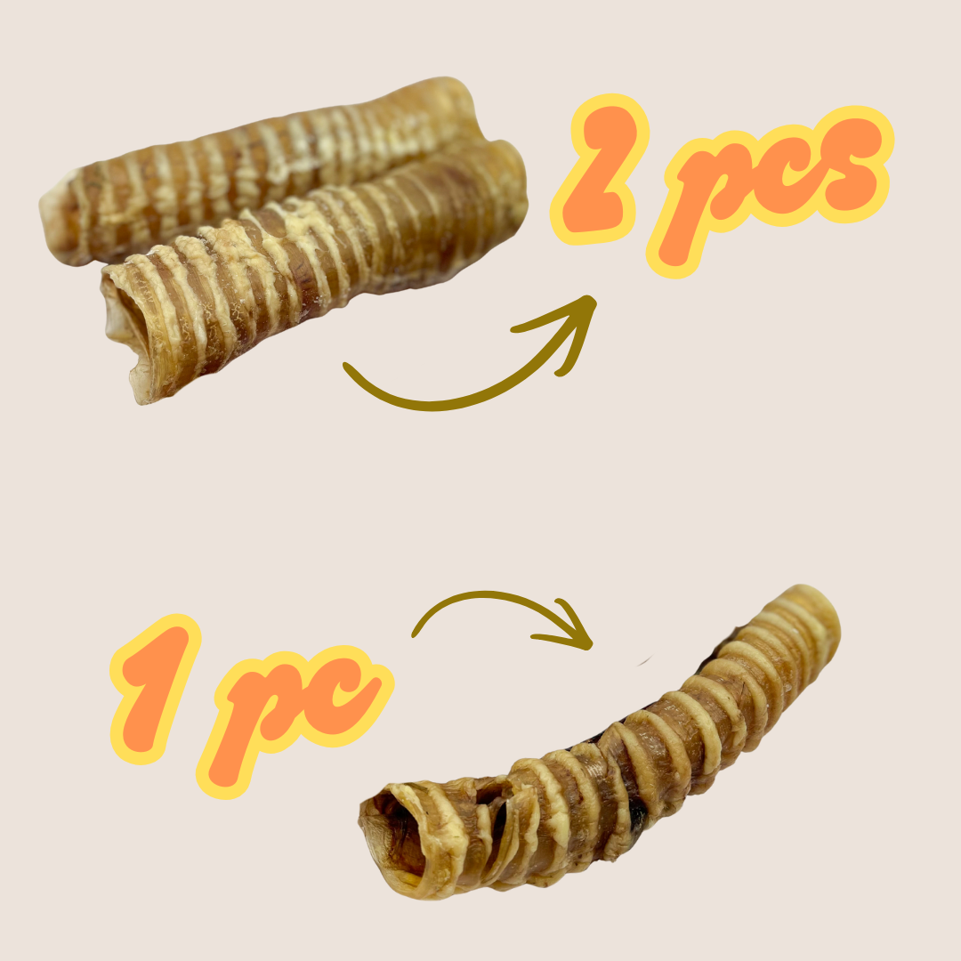 Buffalo trachea Chew