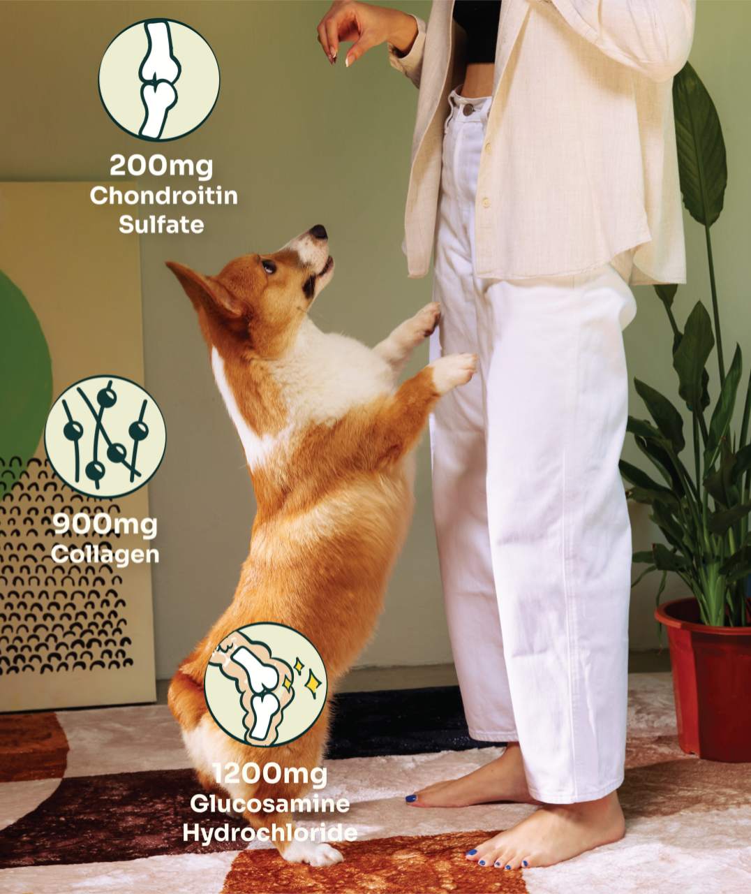 Slow -baked Joint Care Fresh Duck & Beef