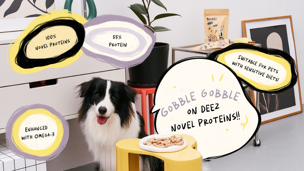 2-in-1 Allergy Care Turkey & Duck Freeze-Dried Chunks