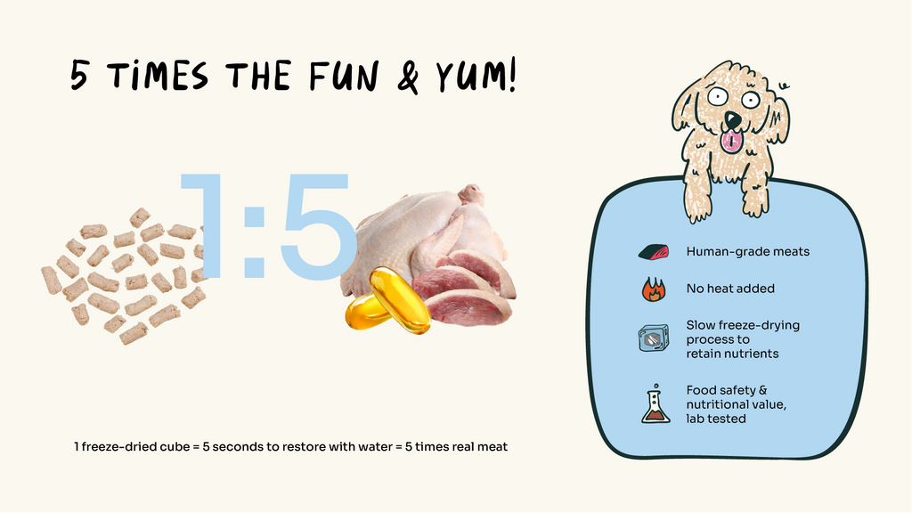 2-in-1 Allergy Care Turkey & Duck Freeze-Dried Chunks