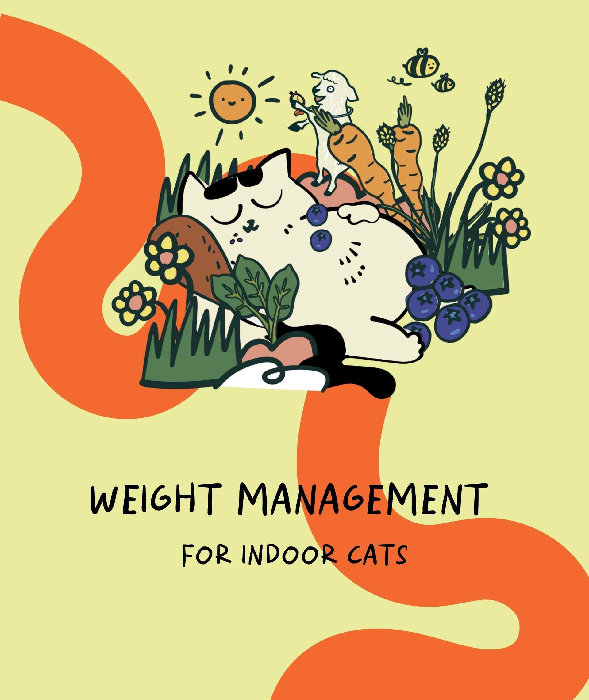 Weight Care Slow-Baked Fresh Chicken & Lamb