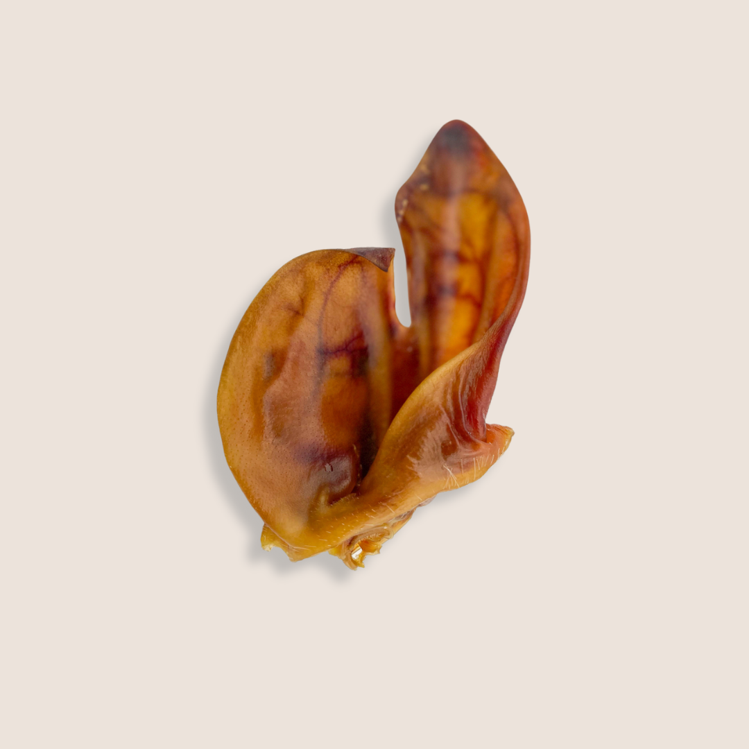 Pork Ears