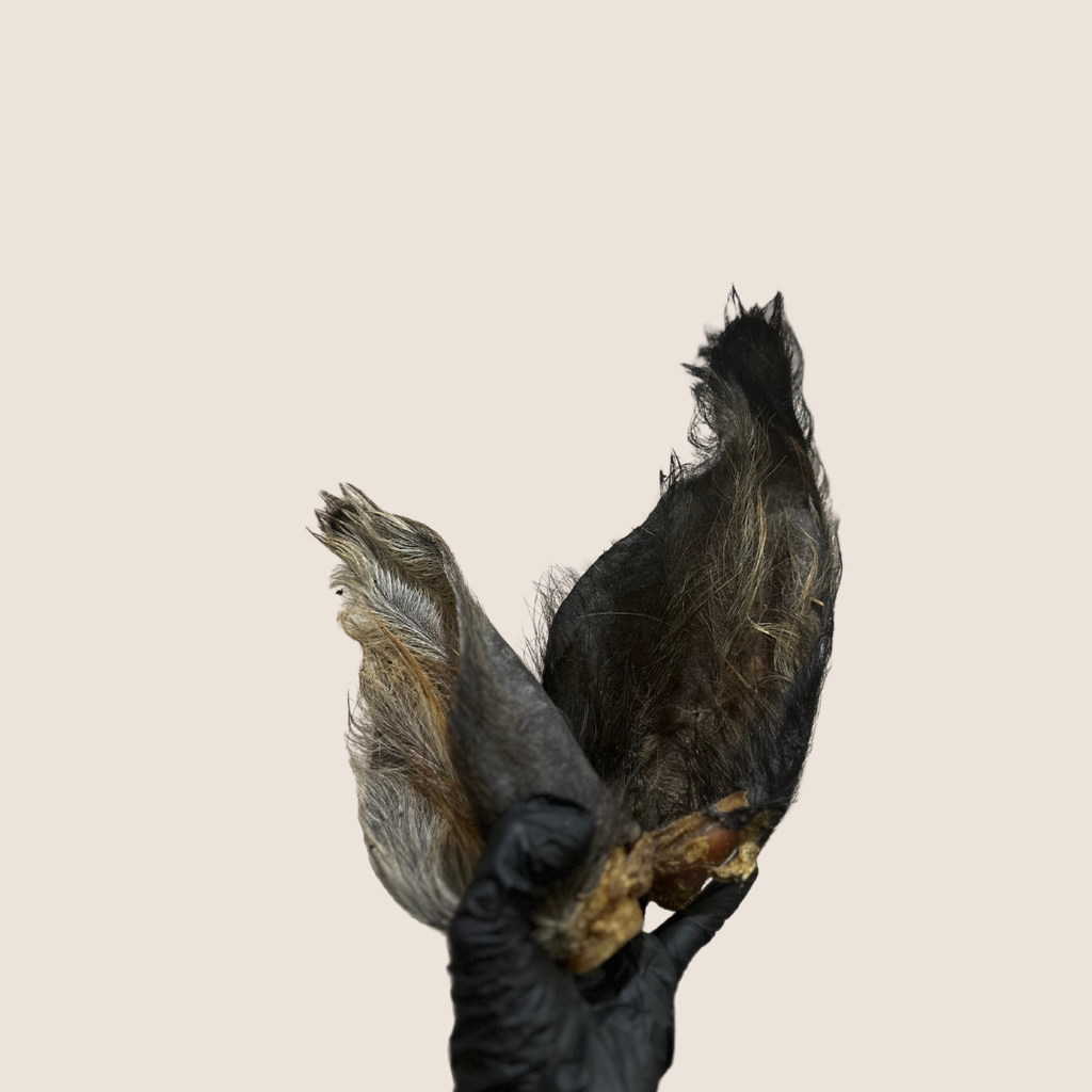 Buffalo ear chew for dogs