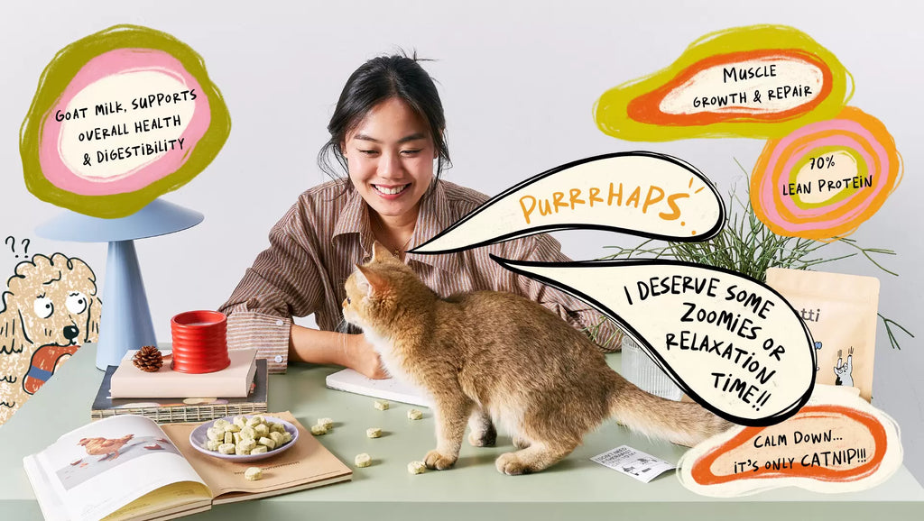 ActivePlay Catnip Freeze-Dried Chunks