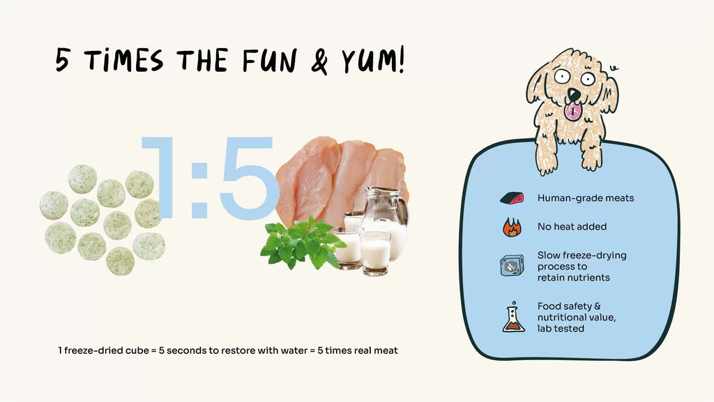 ActivePlay Catnip Freeze-Dried Chunks