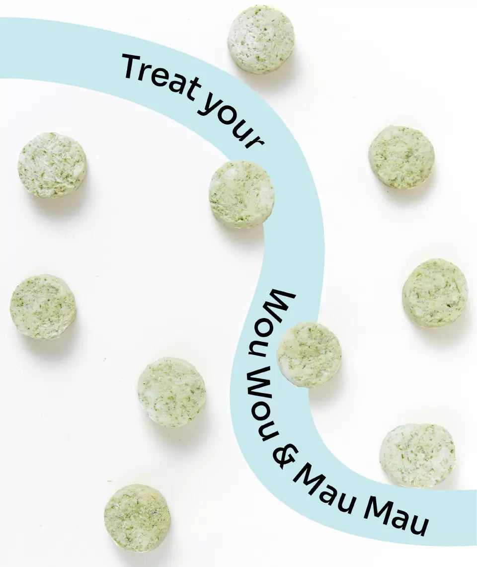 ActivePlay Catnip Freeze-Dried Chunks