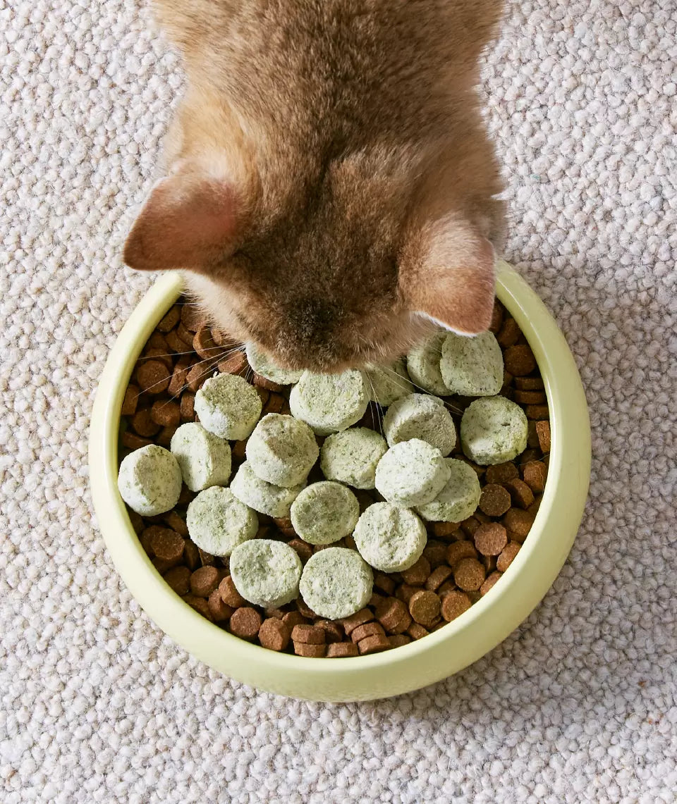 ActivePlay Catnip Freeze-Dried Chunks