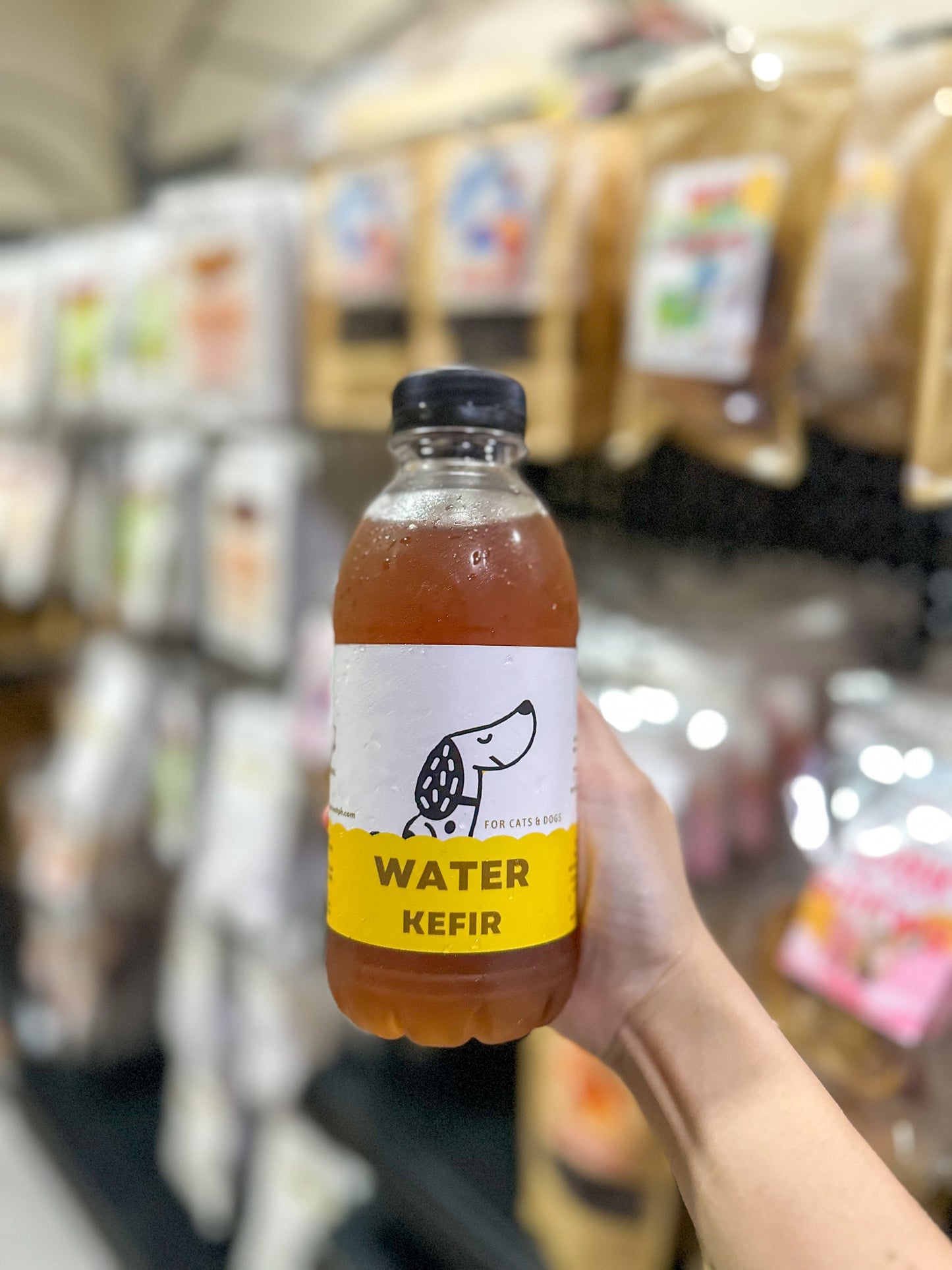 WATER KEFIR