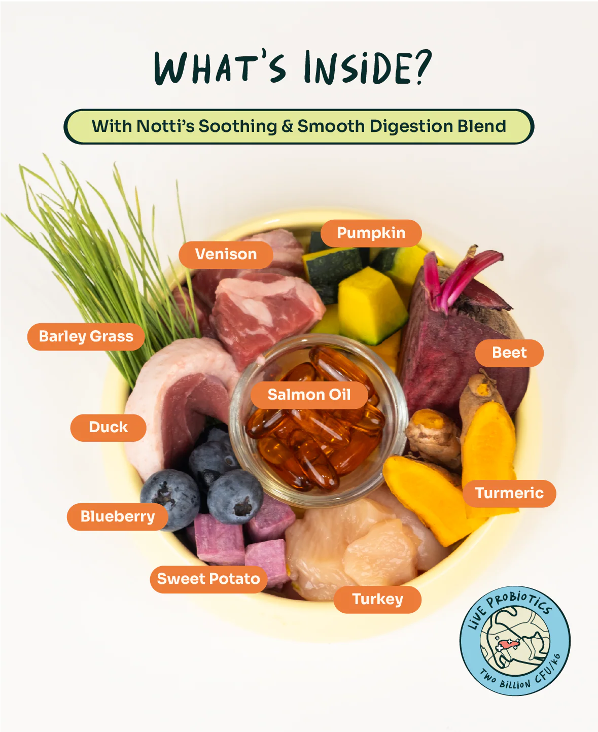 Crunchy-Baked Digest Care Fresh Duck, Venison & Turkey