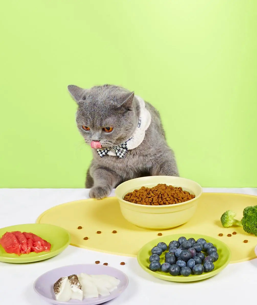 Slow-baked Fresh Chicken & Tuna