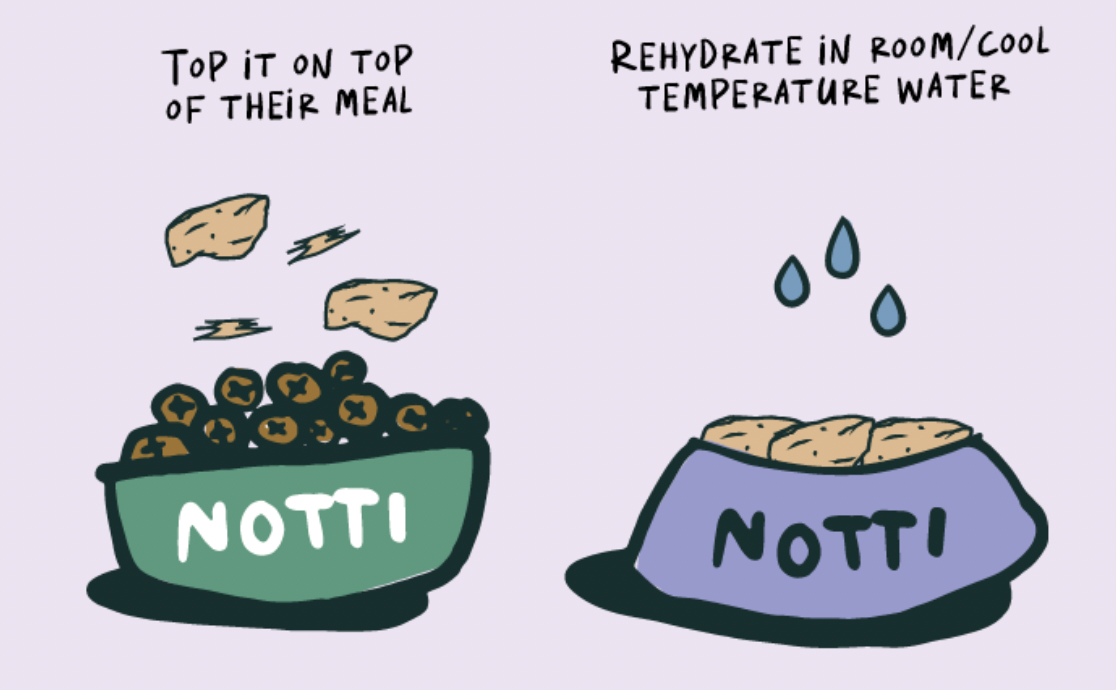 ActivePlay Catnip Freeze-Dried Chunks