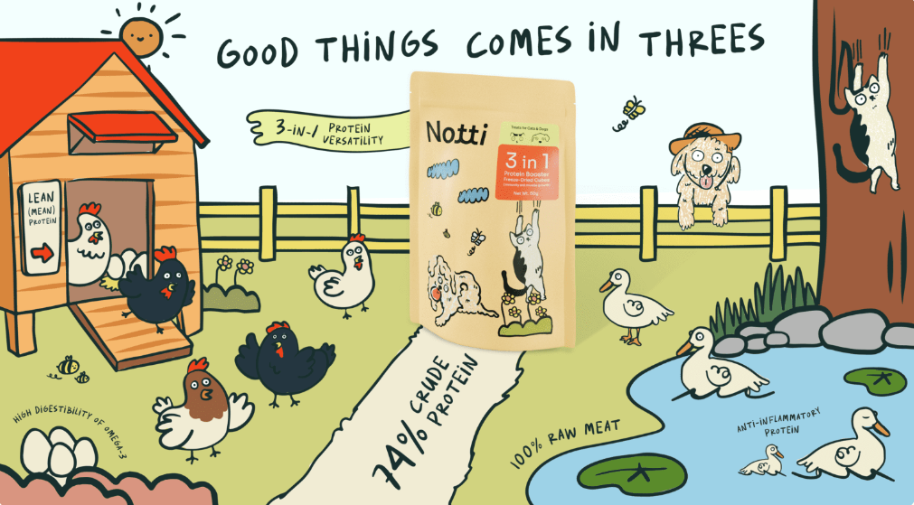 3-in-1 Protein Booster Freeze-Dried Cubes