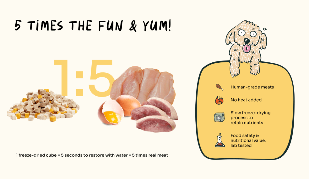 3-in-1 Protein Booster Freeze-Dried Cubes