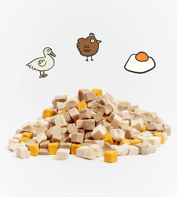 3-in-1 Protein Booster Freeze-Dried Cubes