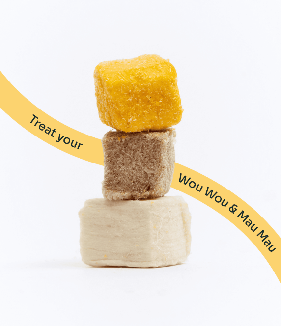 3-in-1 Protein Booster Freeze-Dried Cubes