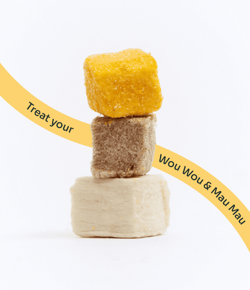 3-in-1 Protein Booster Freeze-Dried Cubes