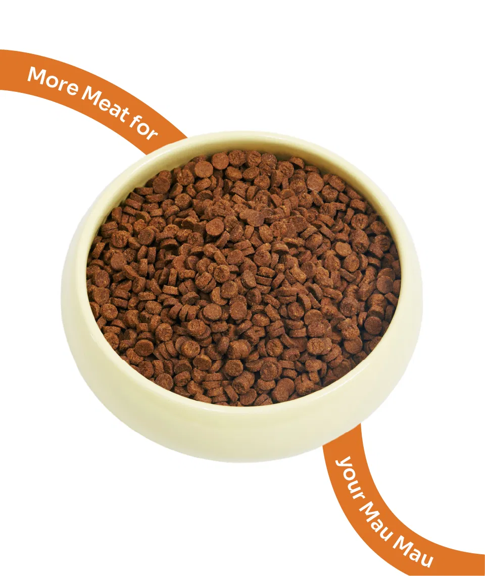 Weight Care Slow-Baked Fresh Chicken & Lamb