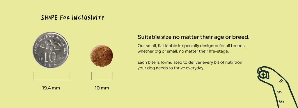 Slow-baked Fresh Chicken & Duck