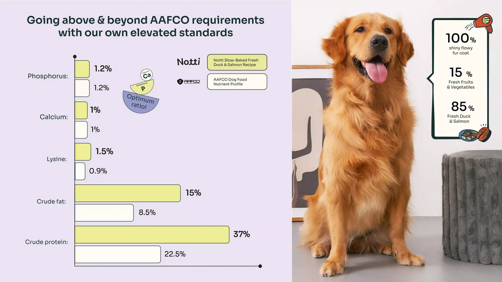 Allergy Care Slow-Baked Fresh Duck & Salmon