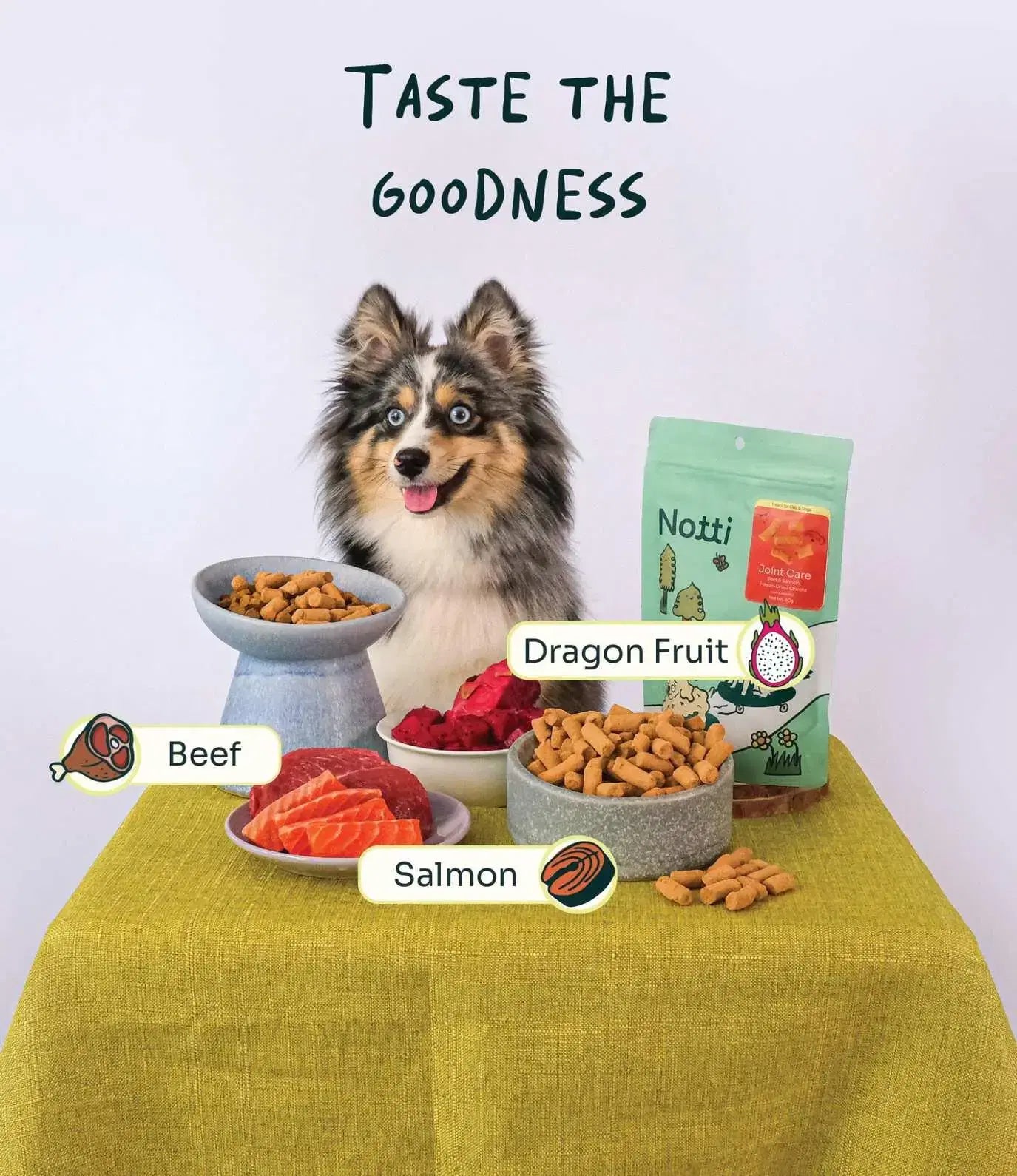 Joint Care Beef & Salmon Freeze-Dried Chunks