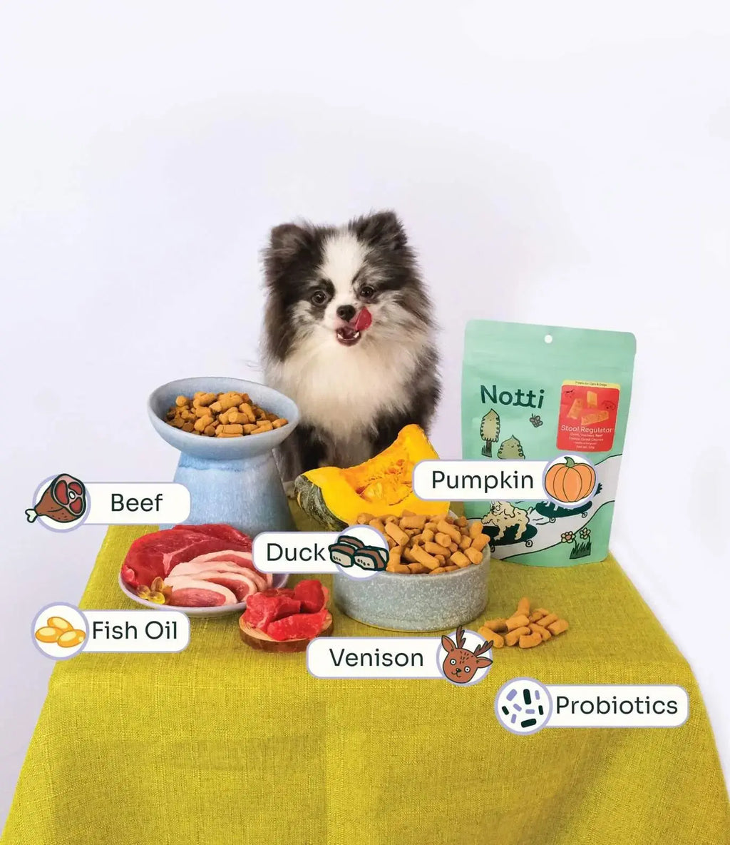 Stool Regulator Duck, Venison, Beef Freeze-Dried Chunks