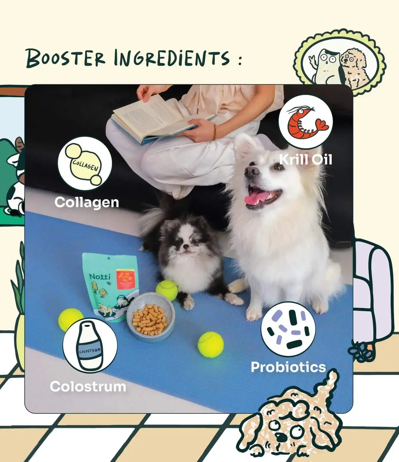 Joint Care Beef & Salmon Freeze-Dried Chunks