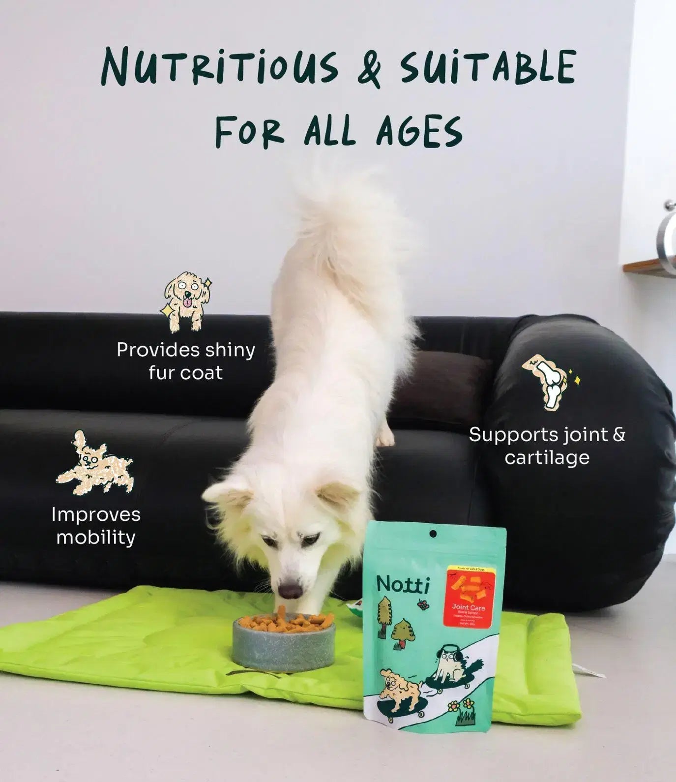 Joint Care Beef & Salmon Freeze-Dried Chunks