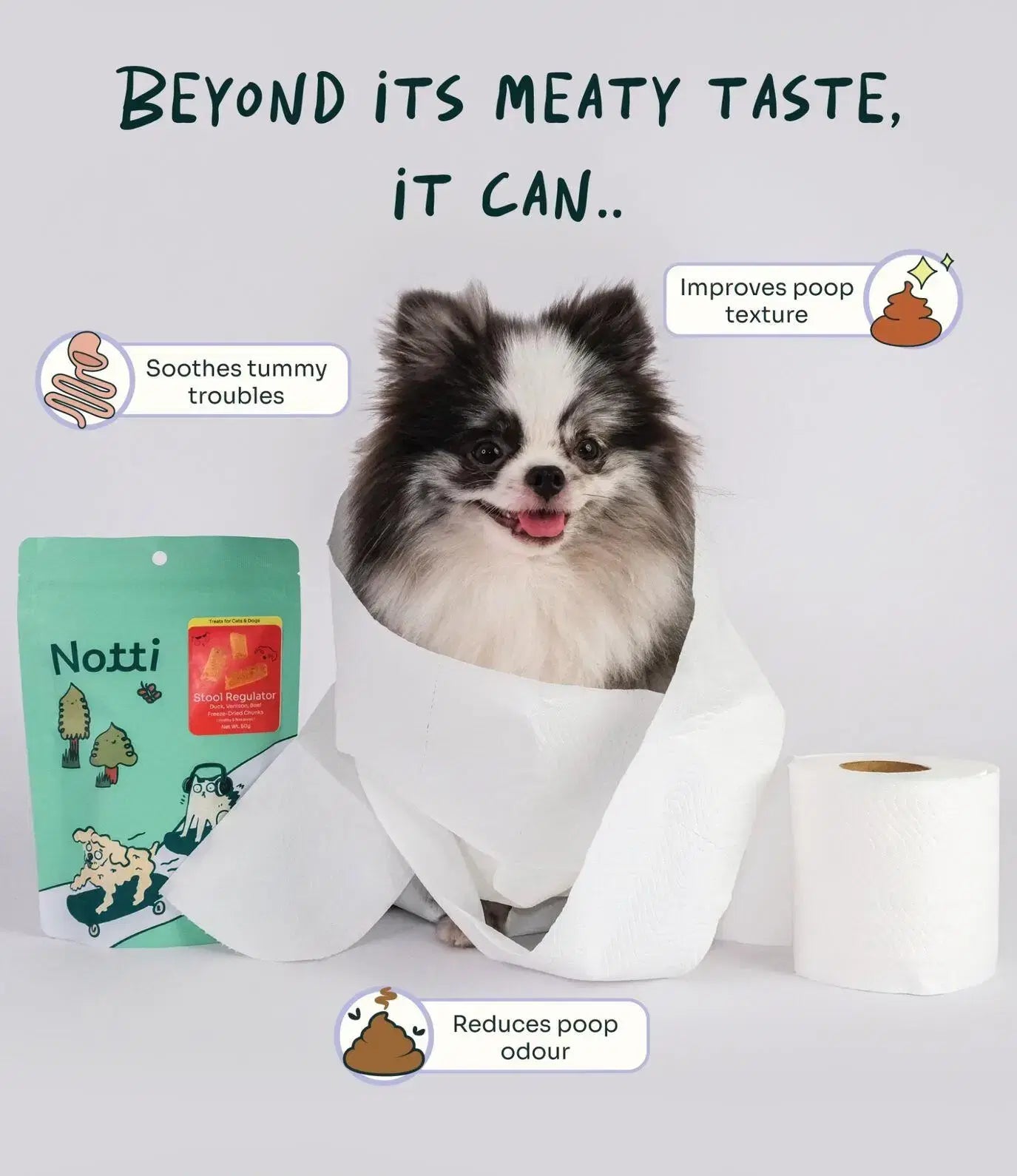 Joint Care Beef & Salmon Freeze-Dried Chunks